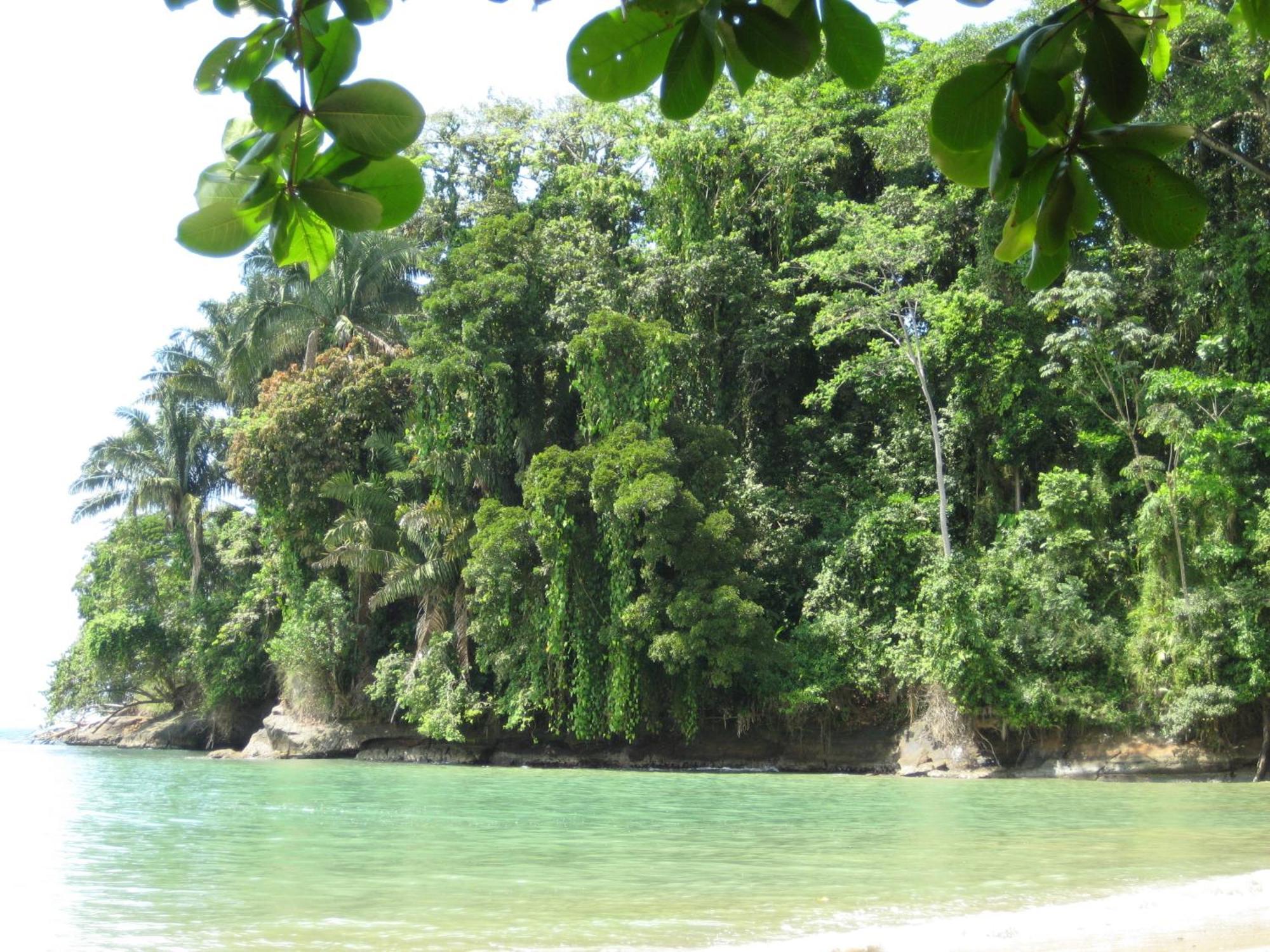 El Tucan Jungle Lodge Puerto Viejo de Talamanca Екстер'єр фото