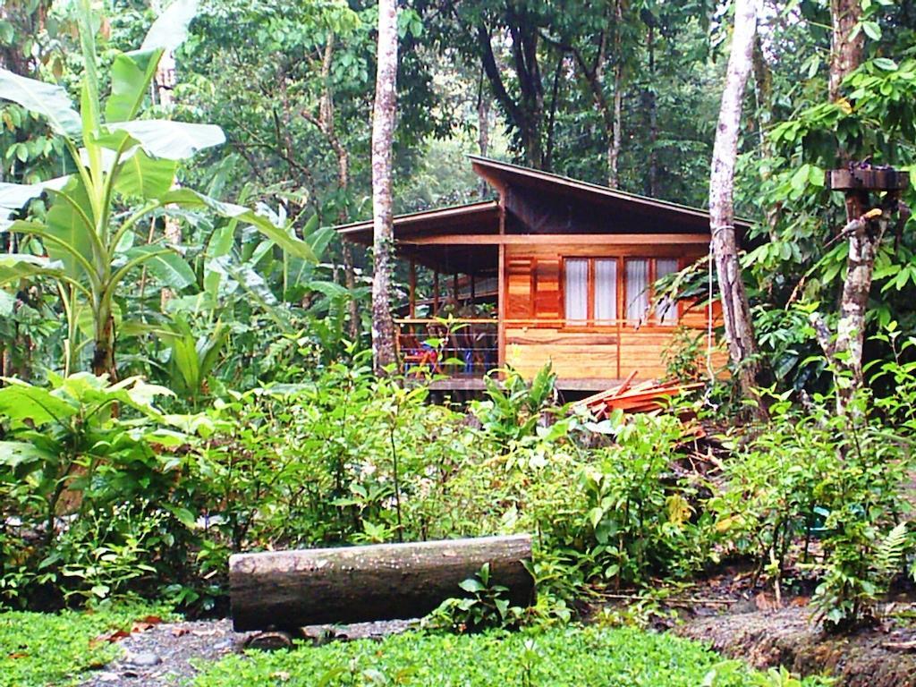 El Tucan Jungle Lodge Puerto Viejo de Talamanca Екстер'єр фото