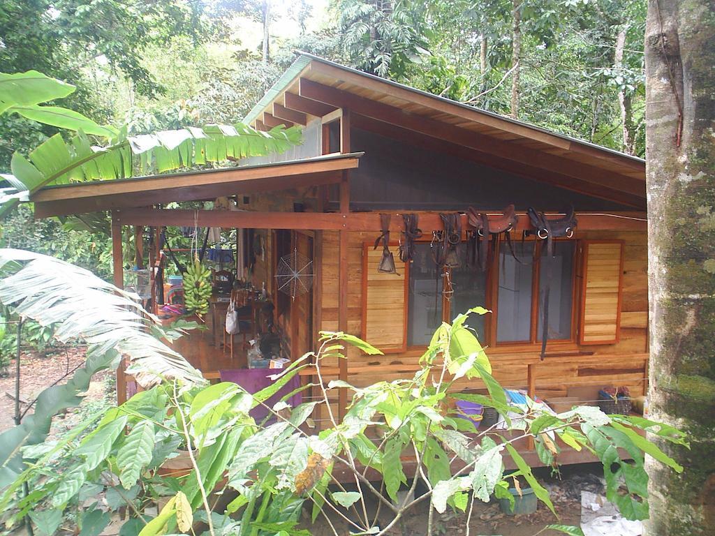 El Tucan Jungle Lodge Puerto Viejo de Talamanca Номер фото