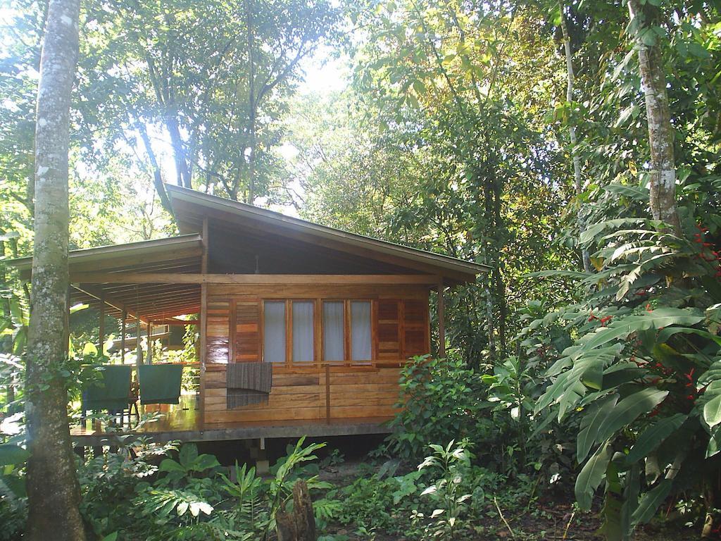 El Tucan Jungle Lodge Puerto Viejo de Talamanca Номер фото