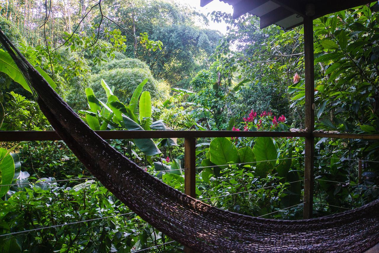 El Tucan Jungle Lodge Puerto Viejo de Talamanca Екстер'єр фото