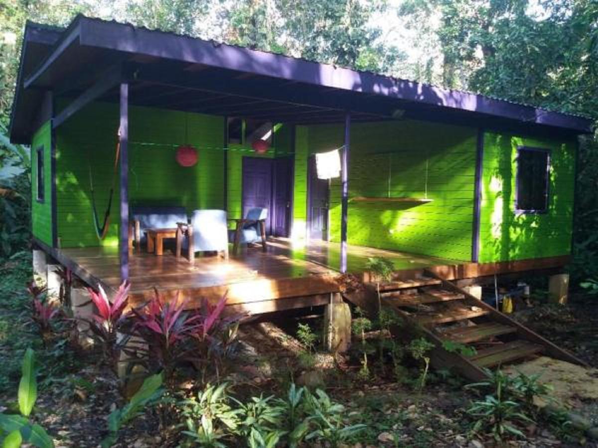El Tucan Jungle Lodge Puerto Viejo de Talamanca Екстер'єр фото