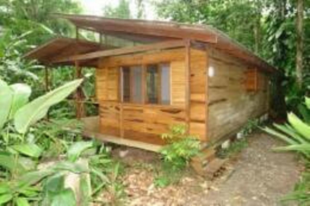 El Tucan Jungle Lodge Puerto Viejo de Talamanca Екстер'єр фото